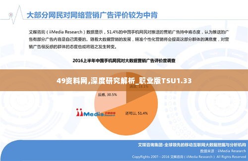 49资料网,深度研究解析_职业版TSU1.33