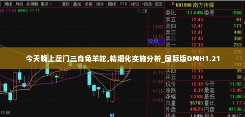 今天晚上澳门三肖兔羊蛇,精细化实施分析_国际版DMH1.21