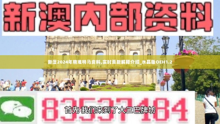 新澳2024年精准特马资料,实时更新解释介绍_水晶版OEH1.2