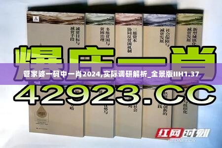 管家婆一码中一肖2024,实际调研解析_全景版IIH1.37