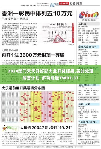 2024澳门天天开好彩大全开奖结果,实时处理解答计划_多功能版TWB1.37