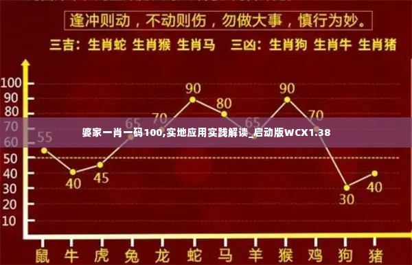 婆家一肖一码100,实地应用实践解读_启动版WCX1.38