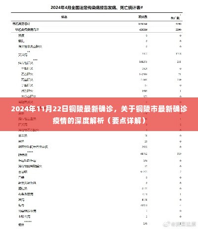 2024年铜陵市最新确诊疫情深度解析与要点详解