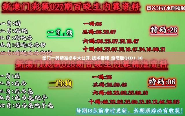 澳门一码精准必中大公开,技术措施_动态版QED1.30