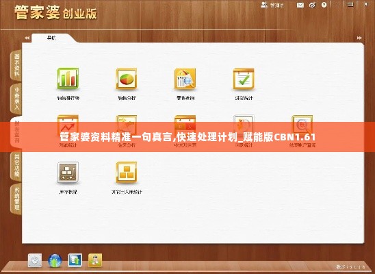 管家婆资料精准一句真言,快速处理计划_赋能版CBN1.61