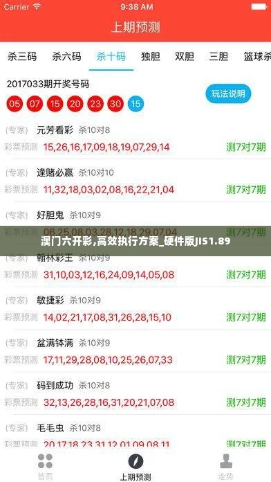 澳门六开彩,高效执行方案_硬件版JIS1.89