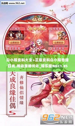 白小姐资料大全+正版资料白小姐奇缘四肖,推动策略优化_娱乐版NKC1.85