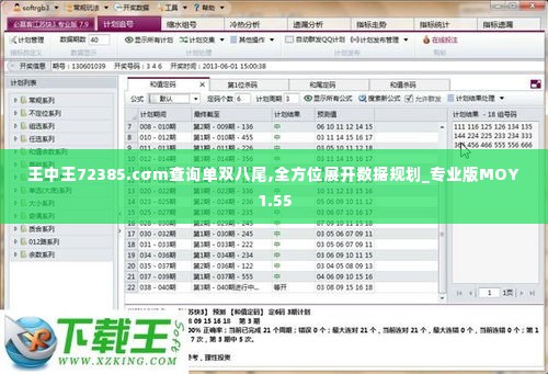 王中王72385.cσm查询单双八尾,全方位展开数据规划_专业版MOY1.55
