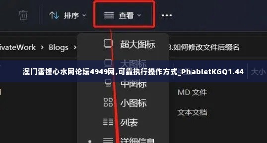 澳门雷锋心水网论坛4949网,可靠执行操作方式_PhabletKGQ1.44