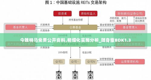 今晚特马免费公开资料,精细化实施分析_随身版BDK1.3