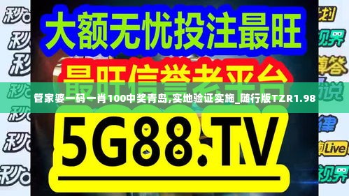 管家婆一码一肖100中奖青岛,实地验证实施_随行版TZR1.98