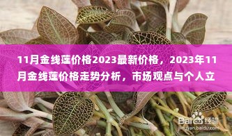 2023年11月金线莲价格走势分析，市场观点与个人立场