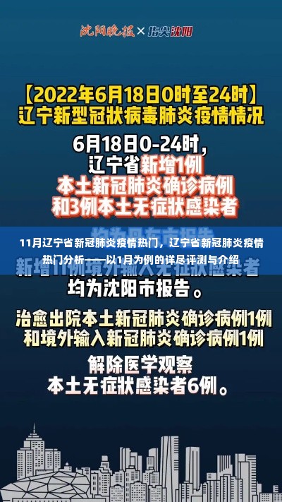 辽宁省新冠疫情热点解析，以1月为例的详细分析与介绍