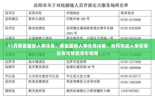 娄底最新人事任免详解与技能进阶指南