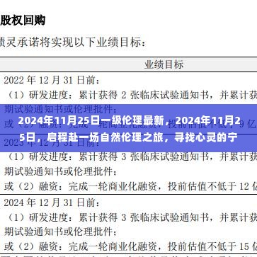 启程赴自然伦理之旅，心灵宁静港湾的探寻——2024年11月25日一级伦理最新