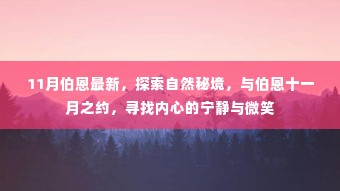 伯恩十一月秘境之旅，探索自然，寻找内心宁静与微笑