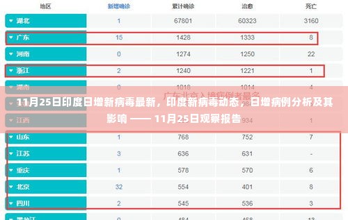 印度新病毒动态及日增病例分析，11月25日观察报告