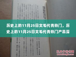 历史上的11月25日文毛代青热门产品深度解析与评测