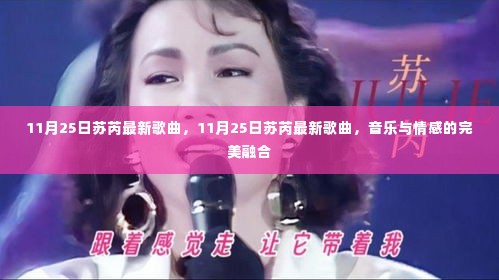 苏芮最新歌曲发布，音乐与情感的完美融合，聆听11月25日最新力作