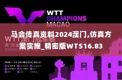 马会传真资料2024澳门,仿真方案实施_精密版WTS16.83