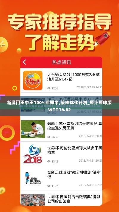 新澳门王中王100%期期中,策略优化计划_原汁原味版WTT16.82