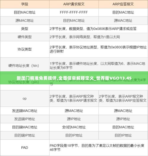 新澳门精准免费提供,全面信息解释定义_世界版VGO13.45