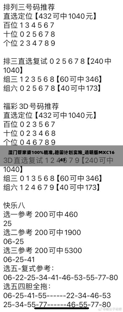 澳门管家婆100%精准,稳固计划实施_透明版MXC16.41