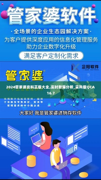 2024管家婆资料正版大全,实时数据分析_采购版QCA16.7