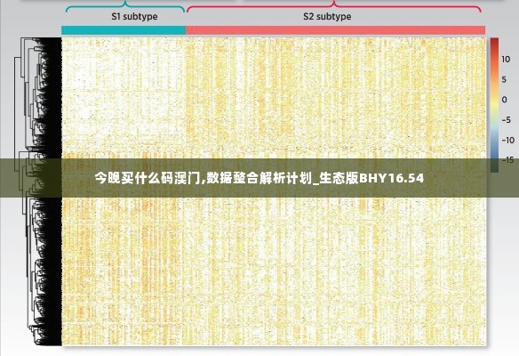 今晚买什么码澳门,数据整合解析计划_生态版BHY16.54