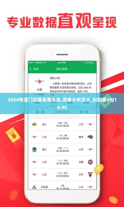 2024年澳门正版免费大全,现象分析定义_时刻版VEJ16.46