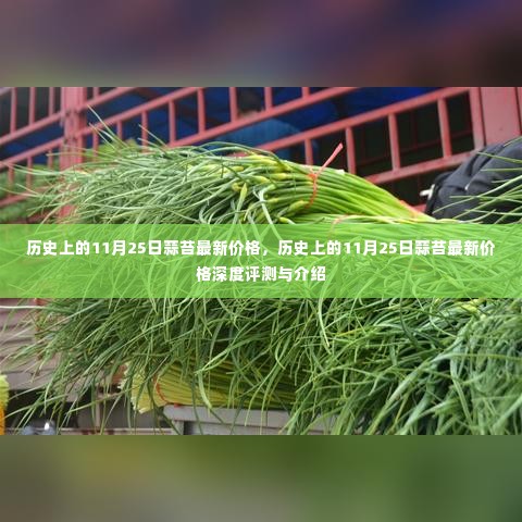 历史上的11月25日蒜苔价格深度解析与最新行情介绍