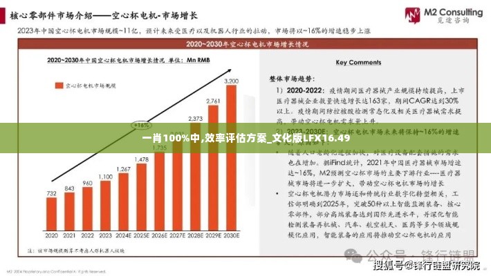 一肖100%中,效率评估方案_文化版LFX16.49