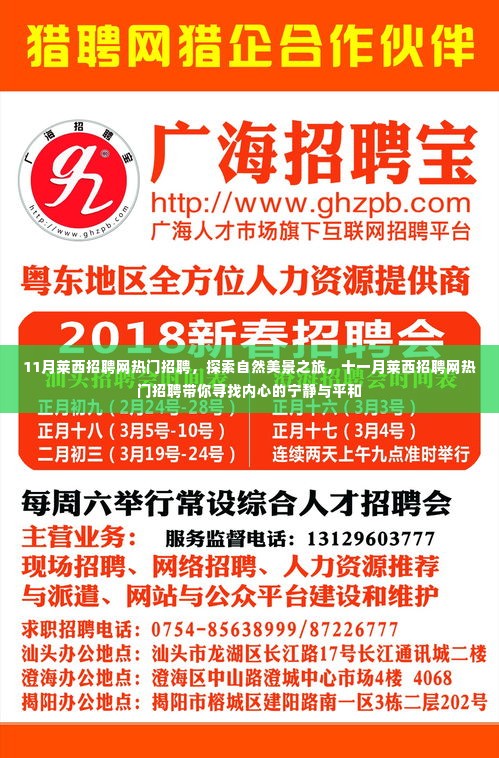 十一月莱西招聘网热门招聘，探索自然美景之旅，寻找内心的宁静与平和