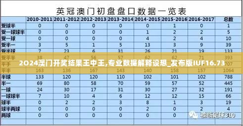 2O24澳门开奖结果王中王,专业数据解释设想_发布版IUF16.73