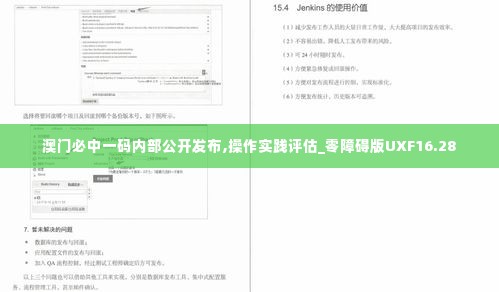 澳门必中一码内部公开发布,操作实践评估_零障碍版UXF16.28