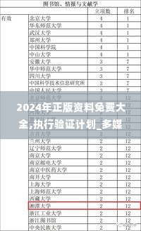 2024年正版资料免费大全,执行验证计划_多媒体版BFU16.91