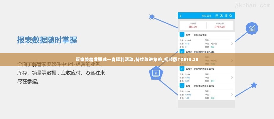 管家婆精准期选一肖福利活动,持续改进策略_视频版TZE13.28