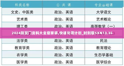 2024新奥门资料大全官家婆,快速处理计划_时刻版SXN13.35