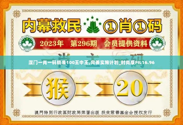 澳门一肖一码精准100王中王,完善实施计划_时尚版FIL16.96