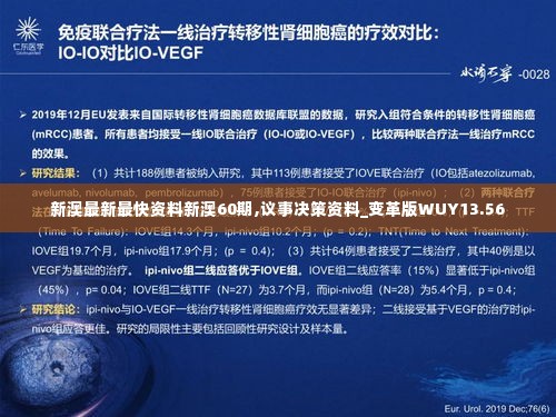 新澳最新最快资料新澳60期,议事决策资料_变革版WUY13.56