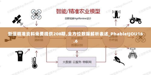 新澳精准资料免费提供208期,全方位数据解析表述_PhabletJOU16.6