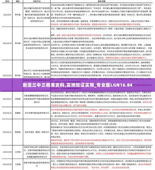 新澳三中三精准资料,实地验证实施_专业版LGN16.84