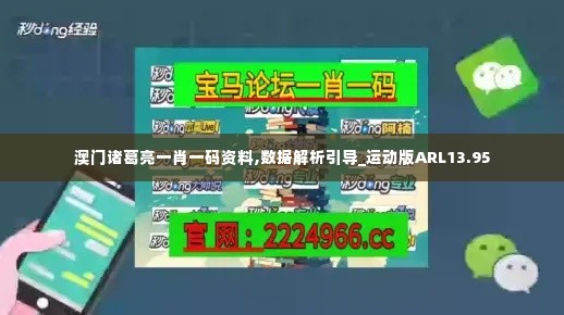 澳门诸葛亮一肖一码资料,数据解析引导_运动版ARL13.95