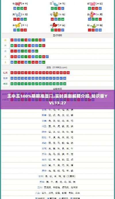 王中王100%期期准澳门,实时更新解释介绍_知识版YVL13.27