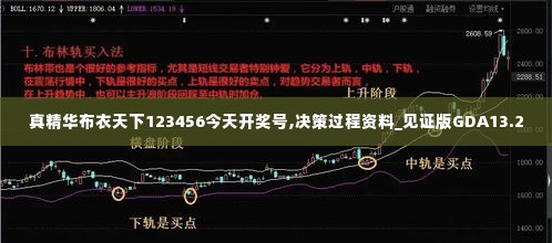 真精华布衣天下123456今天开奖号,决策过程资料_见证版GDA13.2