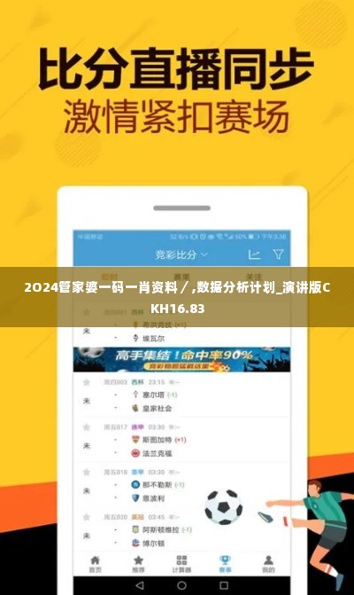 2O24管家婆一码一肖资料／,数据分析计划_演讲版CKH16.83
