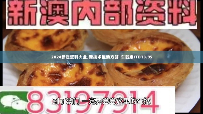 2024新澳资料大全,新技术推动方略_车载版ITB13.95