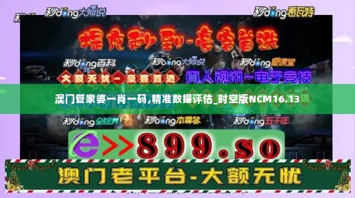 澳门管家婆一肖一码,精准数据评估_时空版NCM16.13