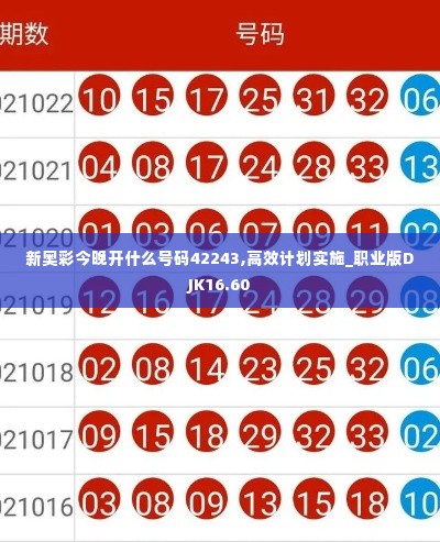 新奥彩今晚开什么号码42243,高效计划实施_职业版DJK16.60