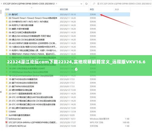 22324濠江论坛com下载22324,实地观察解释定义_远程版VKV16.66